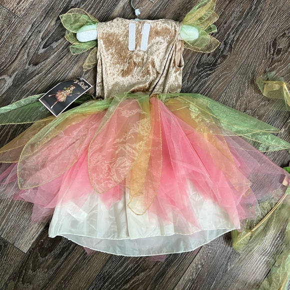 Fairy Dust Costume - Picture 10 of 15